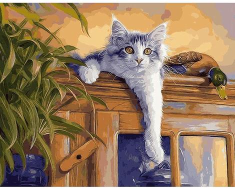 Cat Diy Paint By Numbers Kits UK PE0254
