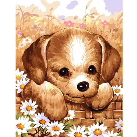 Dog Diy Paint By Numbers Kits UK PE0417