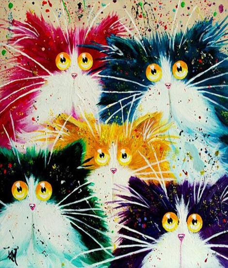 Pet Cat Diy Paint By Numbers Kits UK PE0008
