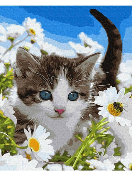 Cat In Flower Diy Paint By Numbers Kits UK PE0253