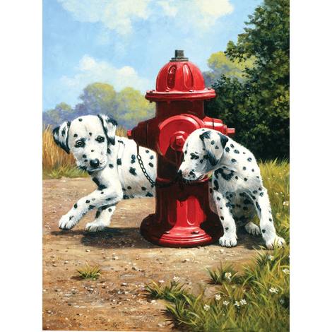 Dog Diy Paint By Numbers Kits UK PE0391