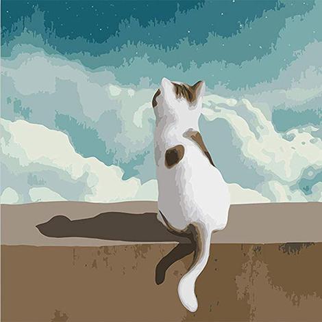 Cat Diy Paint By Numbers Kits UK PE0251