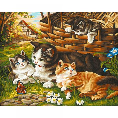 Cats Diy Paint By Numbers Kits UK PE0247