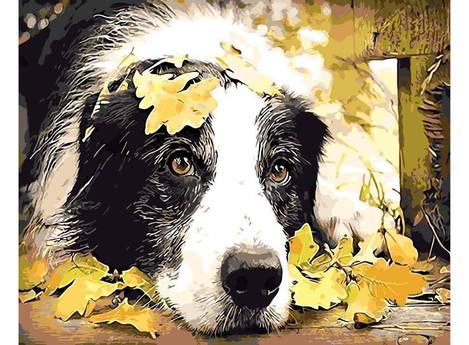 Color Dog Diy Paint By Numbers Kits UK PE0321