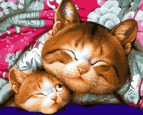 Lovely Cat Diy Paint By Numbers Kits UK PE0243