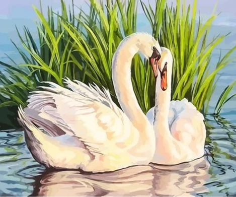 Animal Swan Diy Paint By Numbers Kits UK AN0730