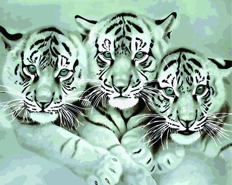 Animal Tiger Diy Paint By Numbers Kits UK AN0392