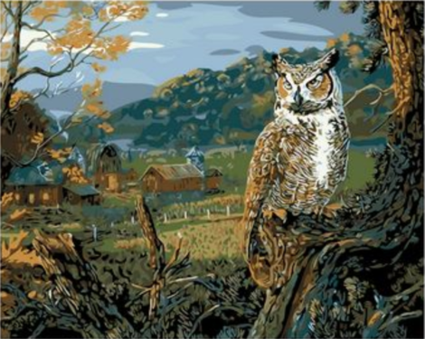 Owl Diy Paint By Numbers Kits UK FA0058