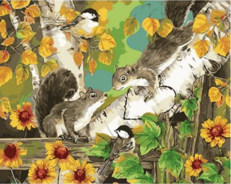 Squirrel Diy Paint by Numbers Kits UK AN0910