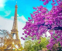 Flower Landscape Eiffel Tower Diy Paint By Numbers Kits LS289