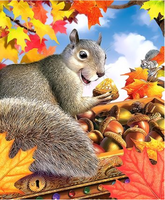 Squirrel Diy Paint by Numbers Kits UK AN0909
