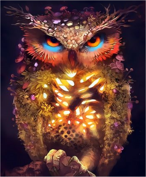 Owl Diy Paint By Numbers Kits UK FA0066