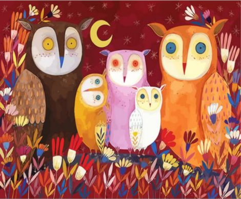 Owl Diy Paint By Numbers Kits UK FA0045