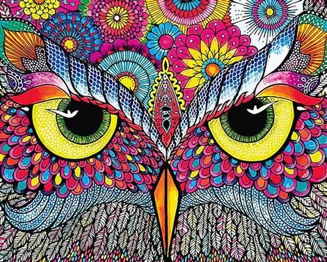 Owl Diy Paint By Numbers Kits UK FA0052