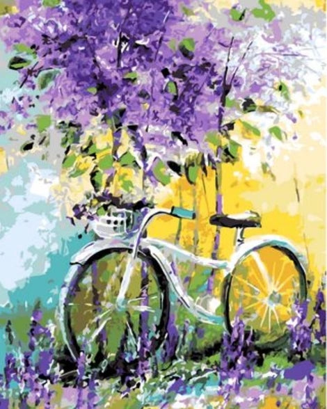 Bicycle Diy Paint By Numbers Kits UK VE0067