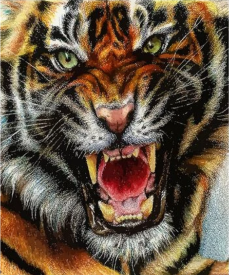 Animal Tiger Diy Paint By Numbers Kits UK AN0357