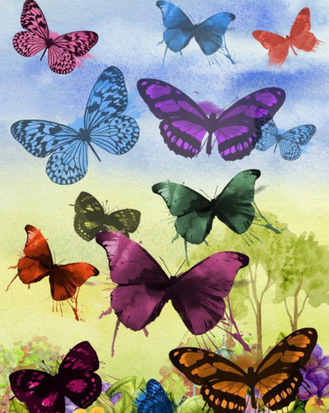 Colorful Butterflies Paint By Numbers Kits FD299