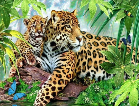 Leopard Diy Paint By Numbers Kits UK AN0807