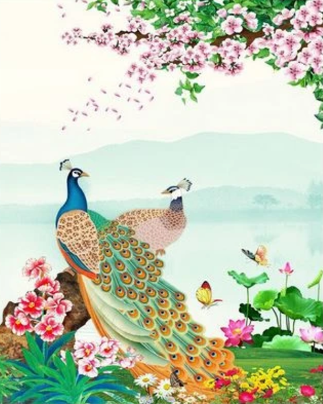 Animal Peacock Diy Paint By Numbers Kits UK AN0677