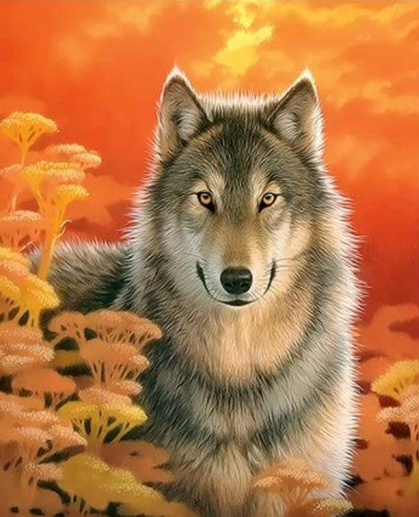 Animal Wolf Diy Paint By Numbers Kits UK AN0577