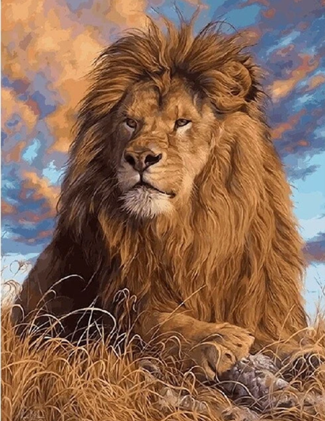 Animal Lion Diy Paint By Numbers Kits UK AN0435