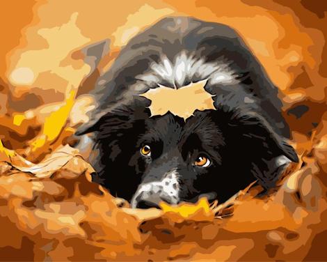 Maple Leaf Dog Diy Paint By Numbers Kits UK PE0315
