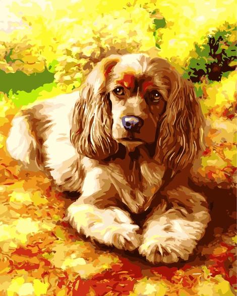 Flower Dog Diy Paint By Numbers Kits UK PE0060