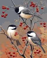 Birds On The Fruit Tree Diy Paint By Numbers Kits UK FA0070