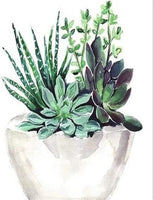 Succulent Pot – Flowers Paint By Numbers UK PL0620