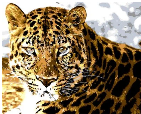 Animal Leopard Diy Paint By Numbers Kits UK AN0836