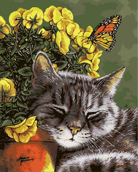 Animal Cat Diy Paint By Numbers Kits UK PE0216