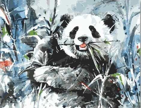 Pandas Diy Paint By Numbers Kits UK AN0770