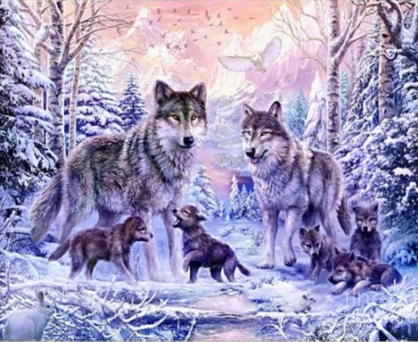 Animal Wolf Diy Paint By Numbers Kits UK AN0543