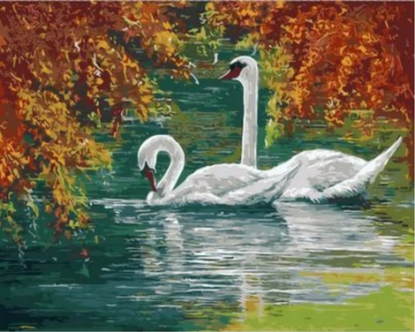 Animal Swan Diy Paint By Numbers Kits UK AN0738
