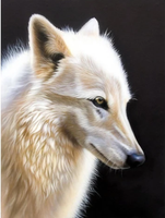 Animal Wolf Diy Paint By Numbers Kits UK AN0542