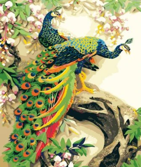 Animal Peacock Diy Paint By Numbers Kits UK AN0683