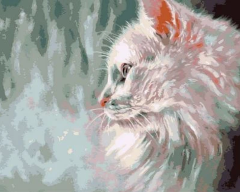Cat Diy Paint By Numbers Kits UK PE0206