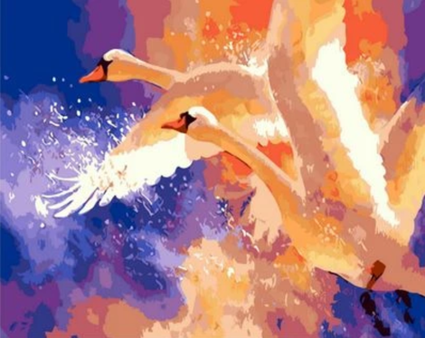 Animal Swan Diy Paint By Numbers Kits UK AN0739