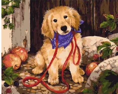 Dog Diy Paint By Numbers Kits UK PE0428