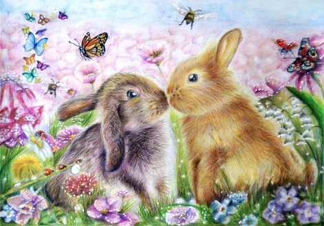 Rabbit Diy Paint By Numbers Kits UK FA0018
