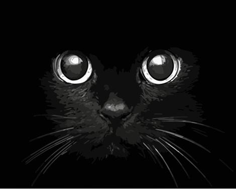 Black Cat Diy Paint By Numbers Kits UK PE0138