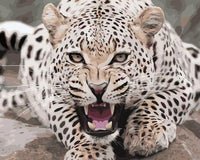 Leopard Diy Paint By Numbers Kits UK AN0813