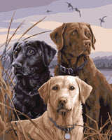 Best Oil Painting Style Pet Dog Diy Paint By Numbers Kits UK PE0095