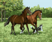 Horse Diy Paint By Numbers Kits UK AN0244
