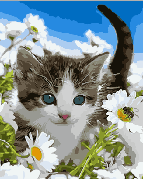 Cat Diy Paint By Numbers Kits UK PE0143