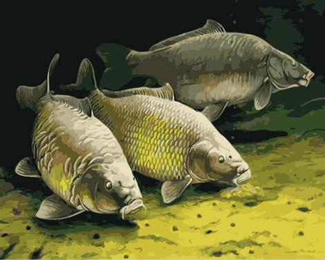 Fish Diy Paint By Numbers Kits UK PE0069