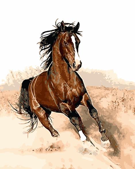 Horse Diy Paint By Numbers Kits UK AN0251