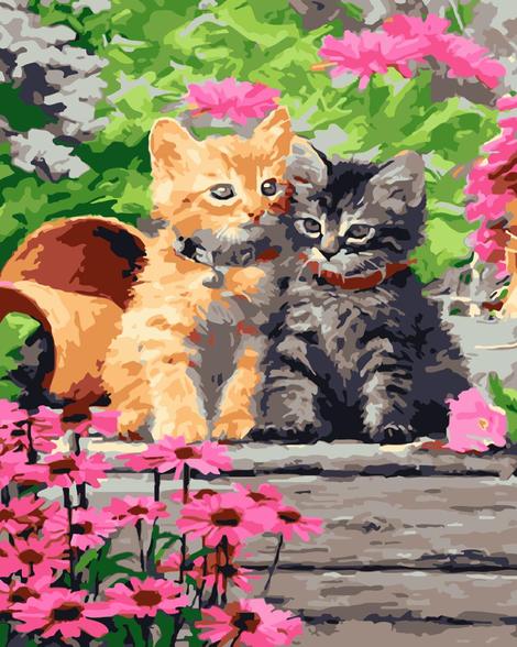 Cat Diy Paint By Numbers Kits UK PE0172