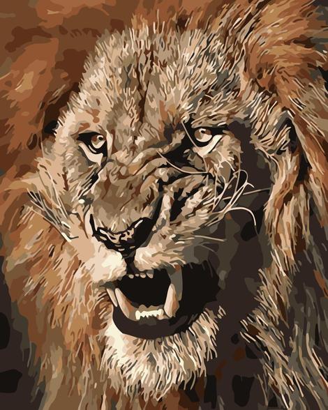 Lion Diy Paint By Numbers Kits UK AN0472