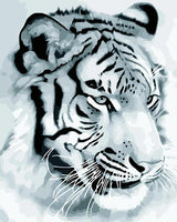 Animal Tiger Diy Paint By Numbers Kits UK AN0346